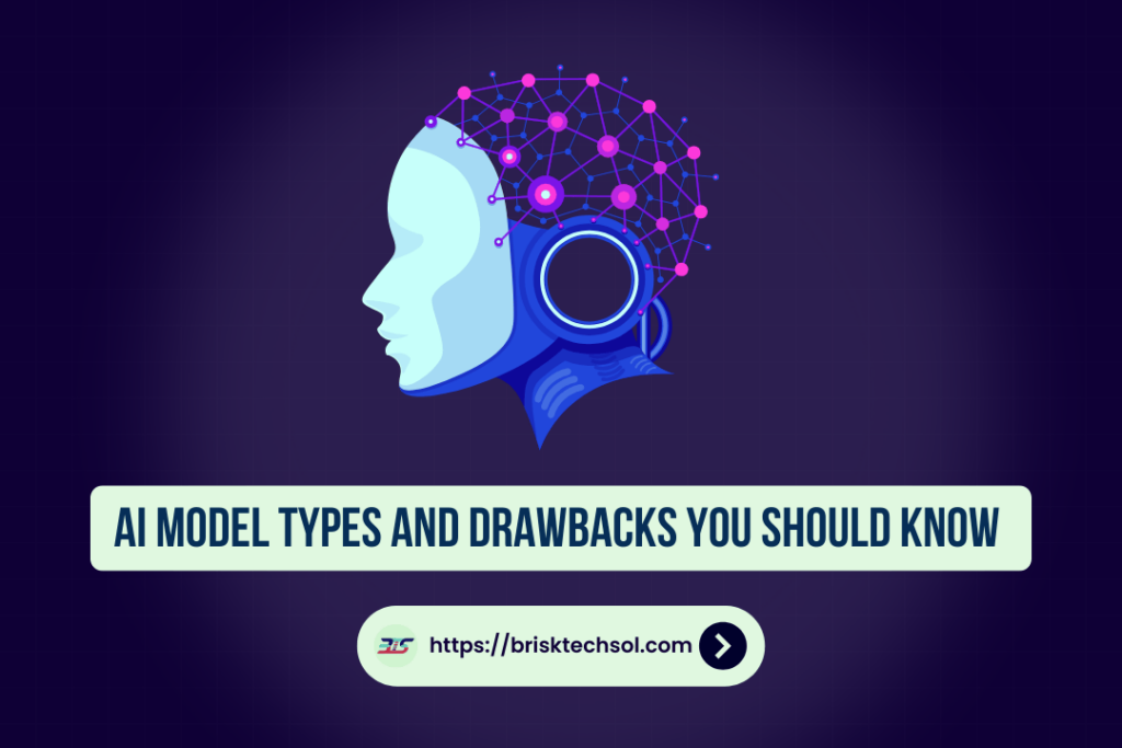 AI Model Types and Drawbacks